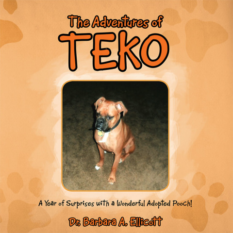 Cover image for book The Adventures of Teko