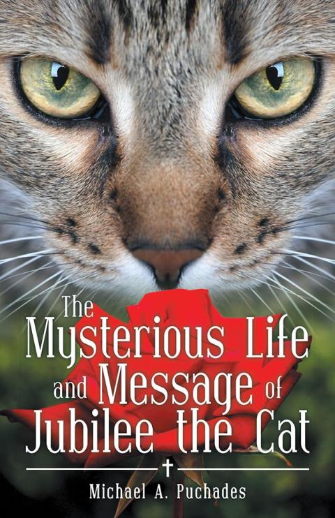 Cover image for book The Mysterious Life and Message of Jubilee the Cat