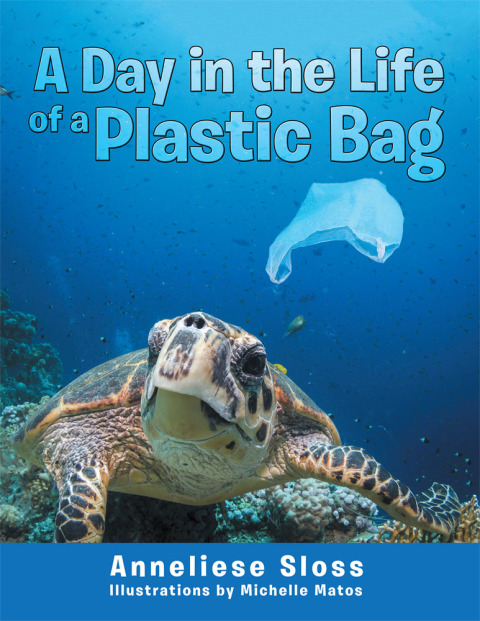 Cover image for book A Day in the Life of a Plastic Bag