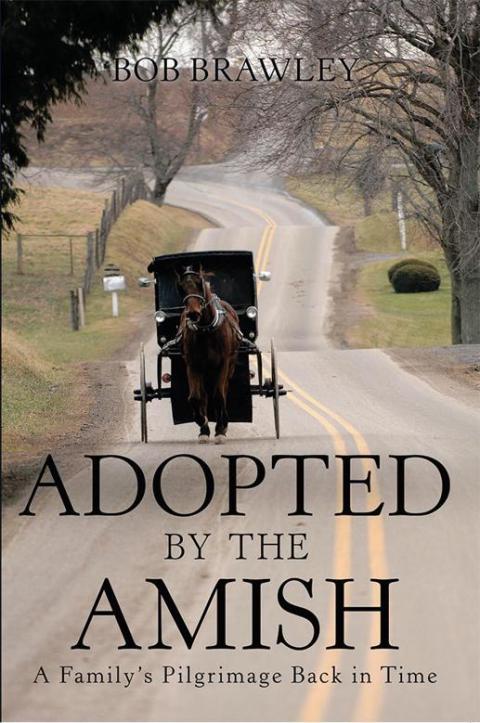Cover image for book Adopted by the Amish