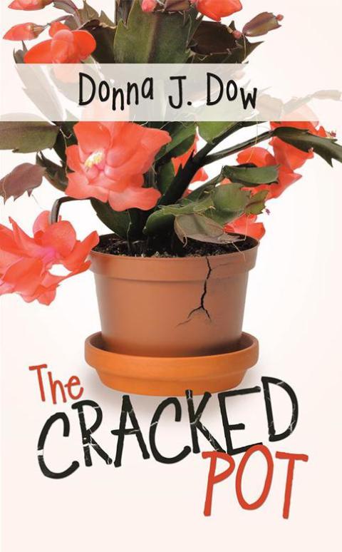 Cover image for book The Cracked Pot