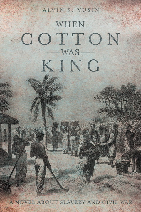 Cover image for book When Cotton Was King