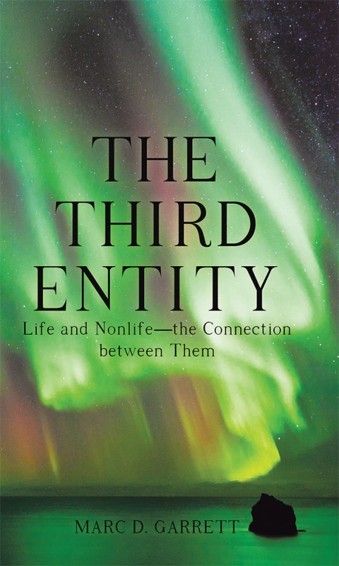 Cover image for book The Third Entity
