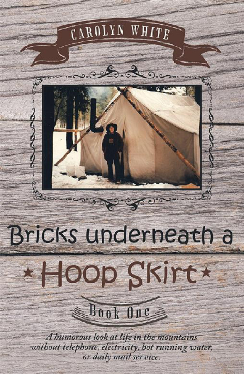Cover image for book Bricks Underneath a Hoop Skirt