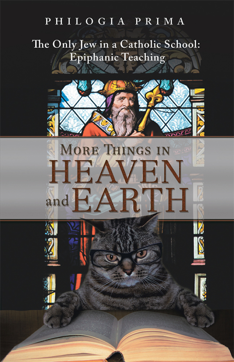 Cover image for book More Things in Heaven and Earth