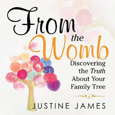 Cover image for book From the Womb