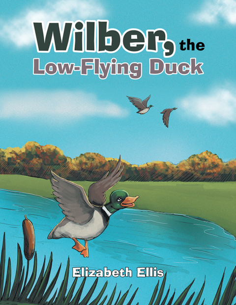 Cover image for book Wilber, the Low-Flying Duck