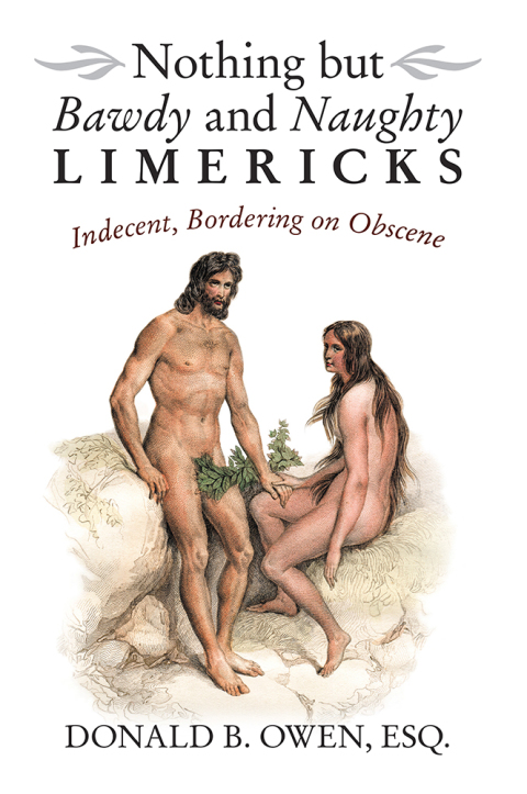 Cover image for book Nothing but Bawdy and Naughty Limericks
