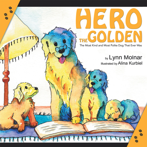 Cover image for book Hero the Golden