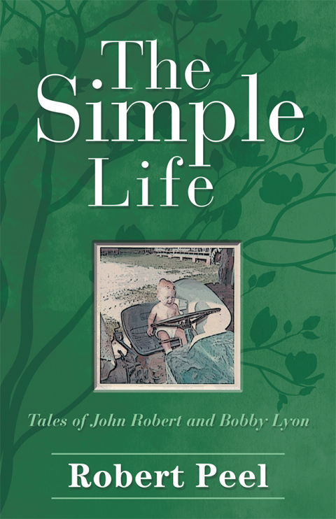 Cover image for book The Simple Life