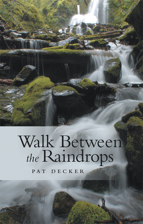 Cover image for book Walk Between the Raindrops