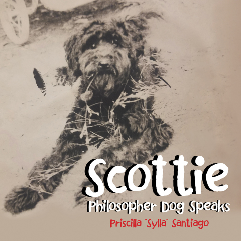 Cover image for book Scottie