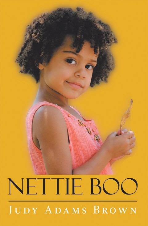 Cover image for book Nettie Boo