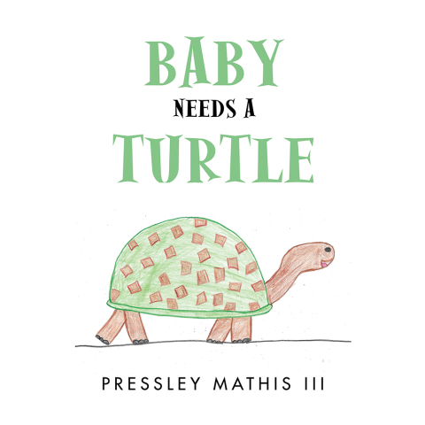 Cover image for book Baby Needs a Turtle