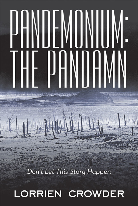 Cover image for book Pandemonium: the Pandamn