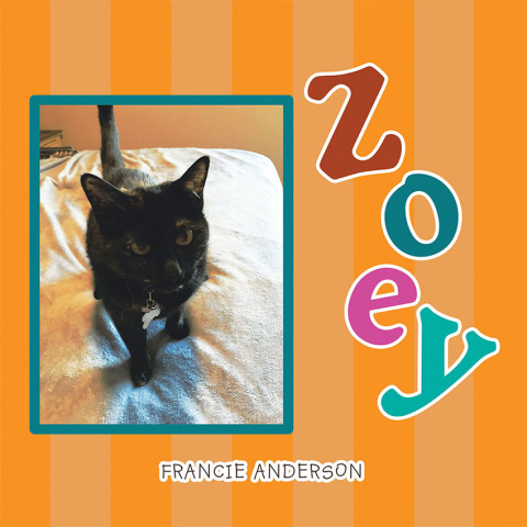 Cover image for book Zoey