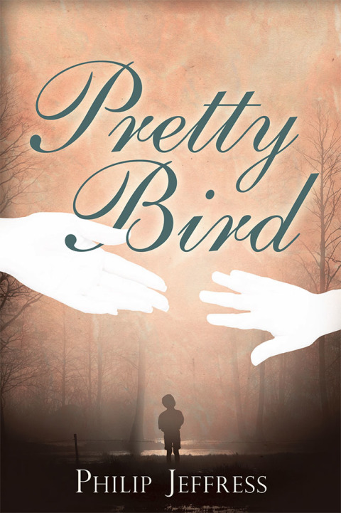 Cover image for book Pretty Bird