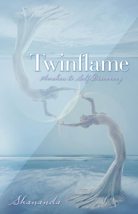 Cover image for book Twinflame