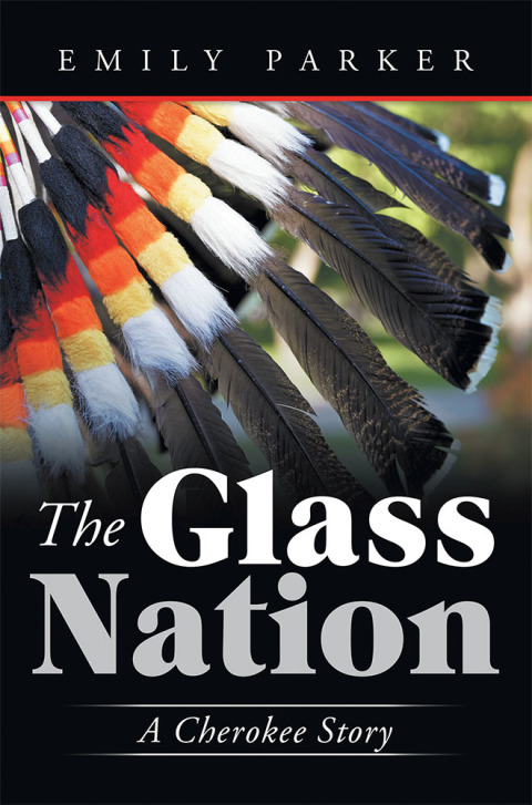 Cover image for book The Glass Nation
