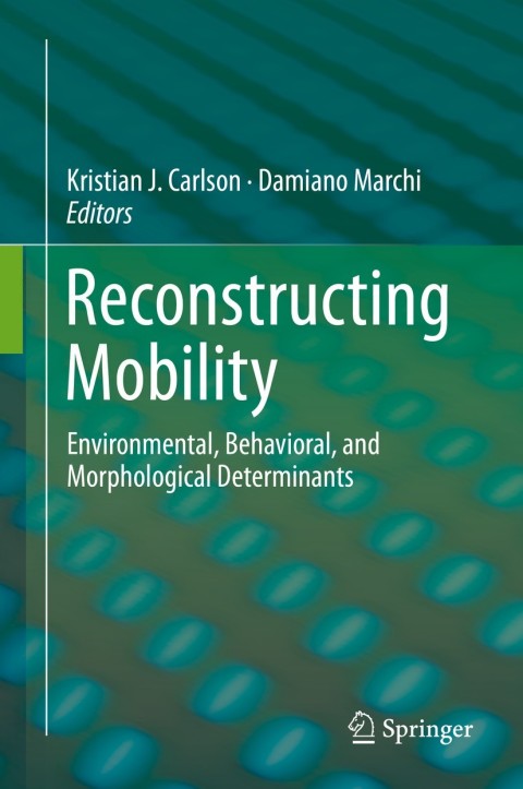 Cover image for book Reconstructing Mobility
