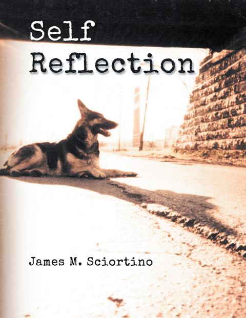 Cover image for book Self Reflection