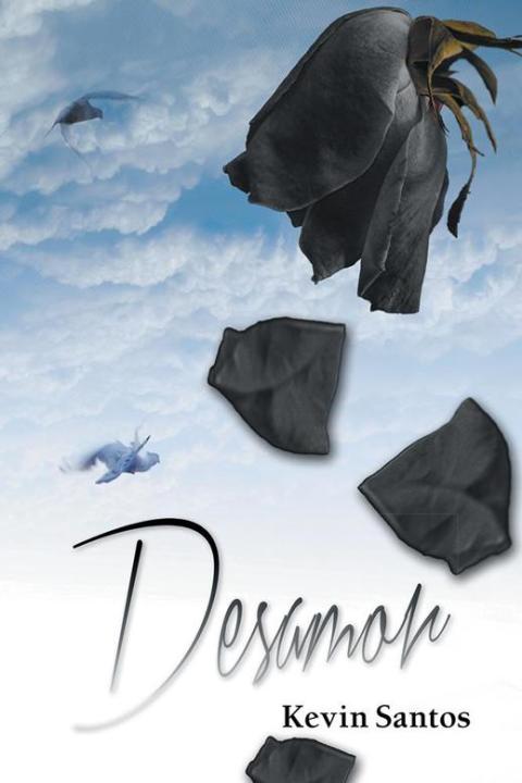 Cover image for book Desamor