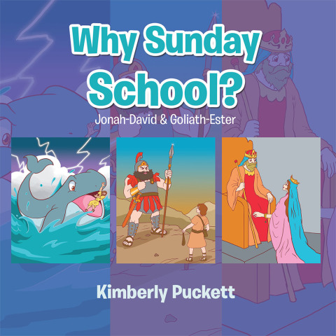 Cover image for book Why Sunday School?