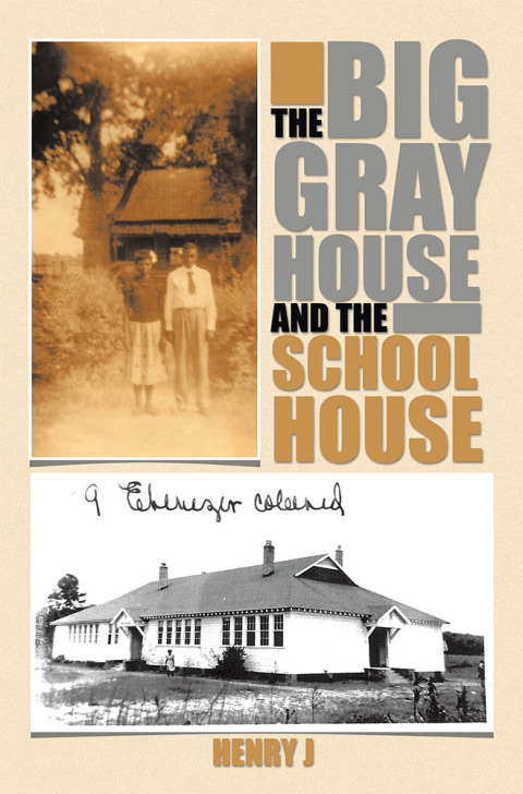 Cover image for book The Big Gray House and the School House