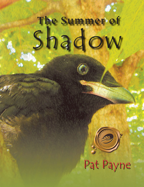 Cover image for book The Summer of Shadow
