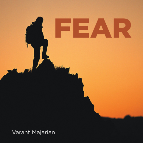 Cover image for book Fear