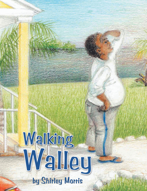 Cover image for book Walking Walley
