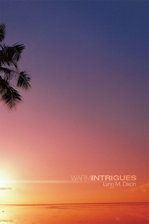 Cover image for book Warm Intrigues