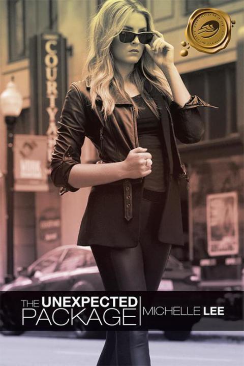 Cover image for book The Unexpected Package