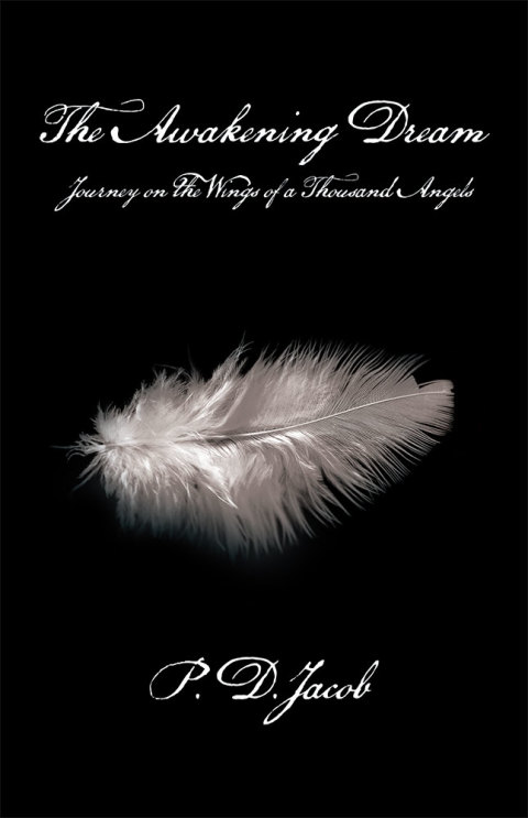 Cover image for book The Awakening Dream