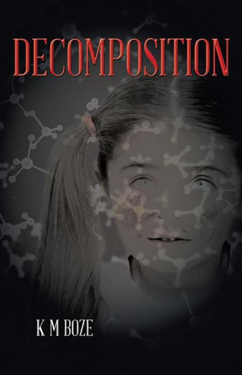 Cover image for book Decomposition