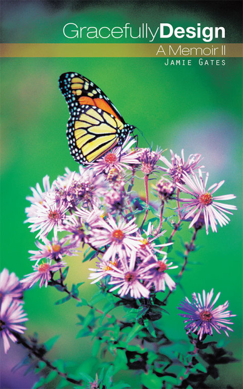 Cover image for book Gracefully Design