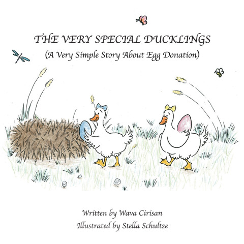 Cover image for book The Very Special Ducklings