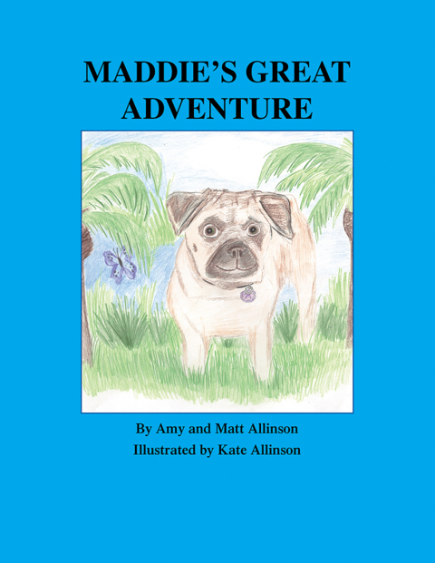 Cover image for book Maddie's Great Adventure