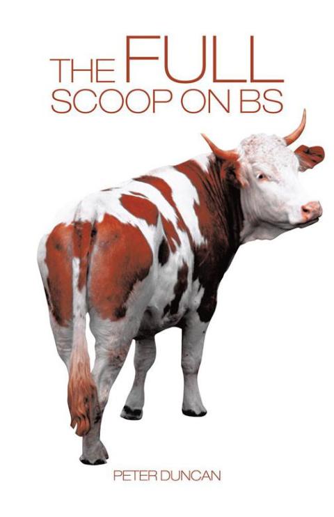 Cover image for book The Full Scoop on Bs