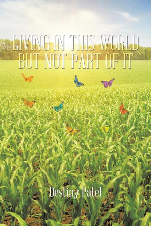 Cover image for book Living in This World but Not Part of It
