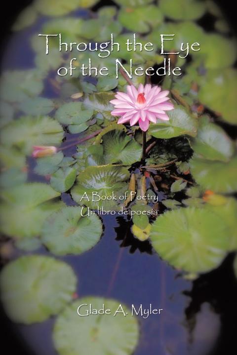 Cover image for book Through the Eye of the Needle