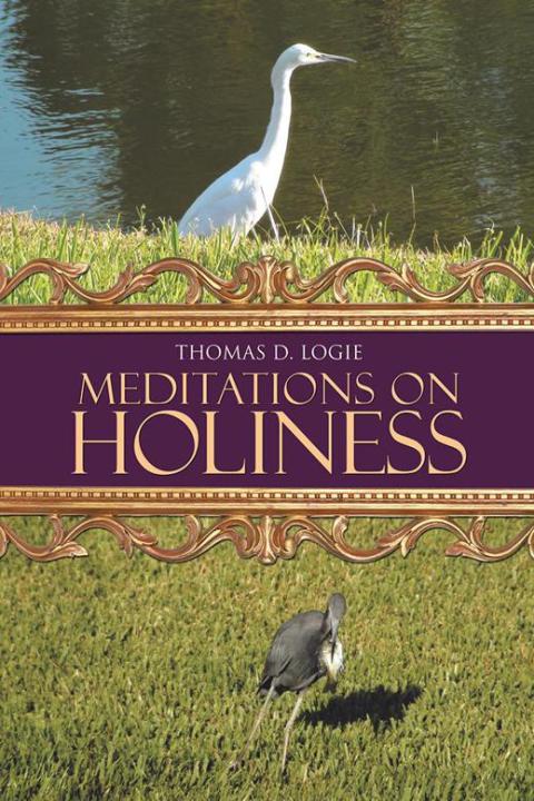 Cover image for book Meditations on Holiness