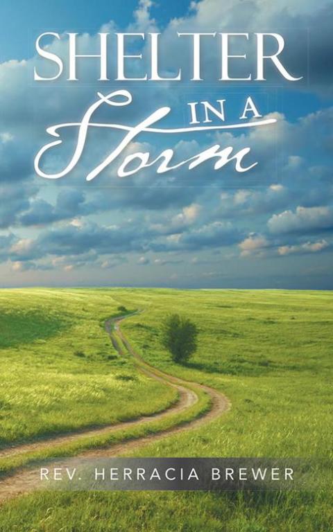 Cover image for book Shelter in a Storm