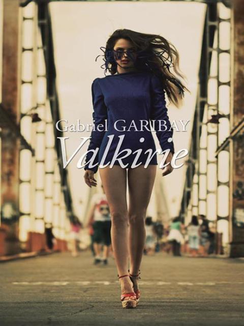 Cover image for book Valkirie