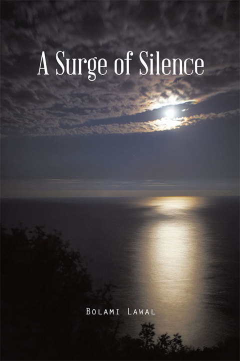 Cover image for book A Surge of Silence