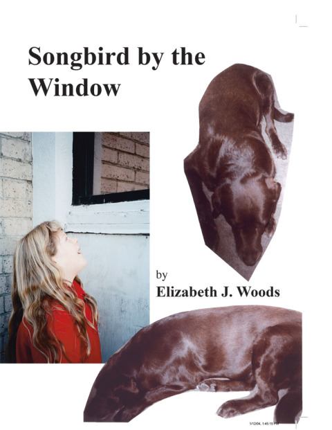 Cover image for book Songbird by the Window