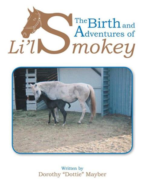 Cover image for book The Birth and Adventures of Lil Smokey