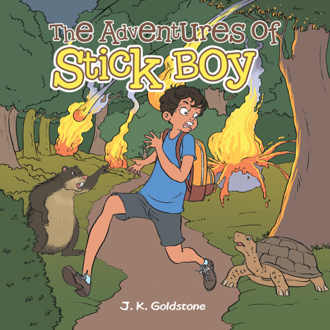 Cover image for book The Adventures of Stick Boy