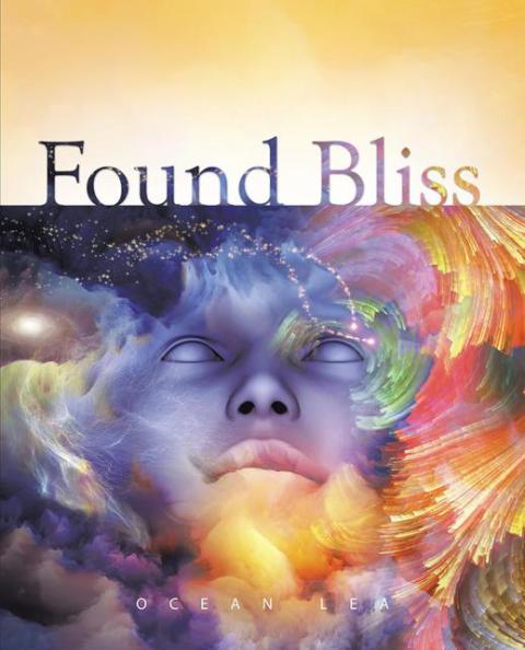 Cover image for book Found Bliss