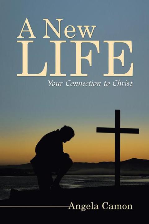 Cover image for book A New Life